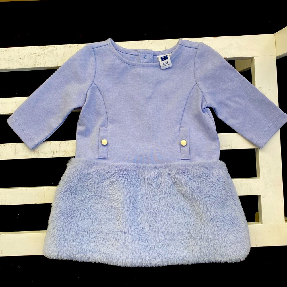Janie and Jack winter Dress